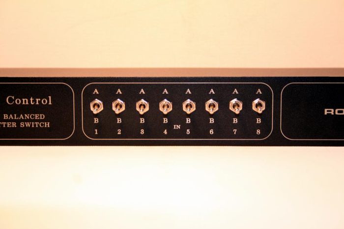 2-Way DB25 studio switch box – passive balanced line-level audio selector with dual Tascam DSUB inputs, A/B input switches, and dual 8-channel DSUB outputs in a 1U rackmount enclosure. 2-Way DB25 studio switch box – passive balanced line-level audio selector with dual Tascam DSUB inputs, A/B input switches, and dual 8-channel DSUB outputs in a 1U rackmount enclosure.