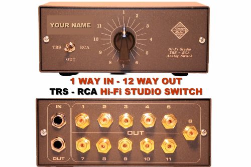 1 in 12 out studio RCA switch hifi